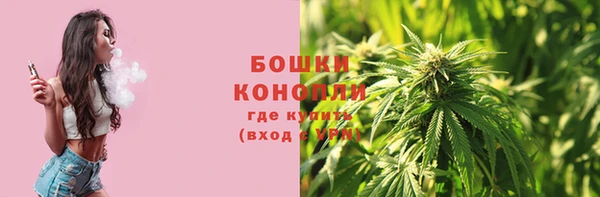 дмт Протвино
