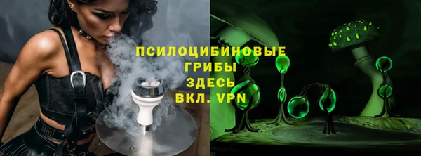 дмт Протвино
