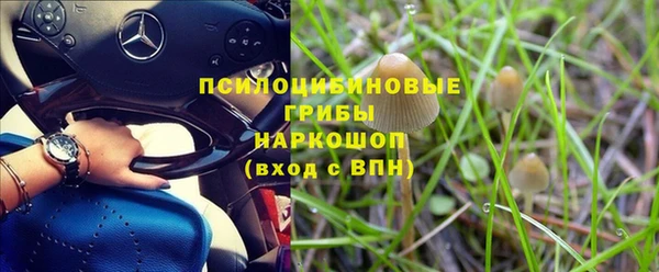spice Пролетарск