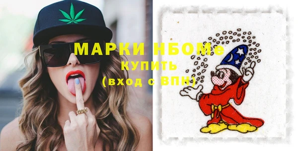 дмт Протвино