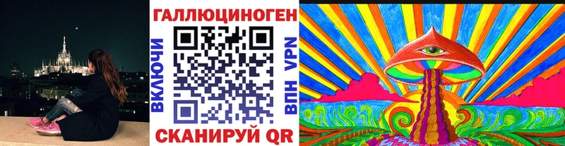Галлюциногенные грибы Psilocybine cubensis  Байкальск 